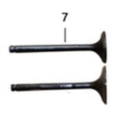 APEC APX 7 SUBAP TAKIMI - EMME EGZOZ