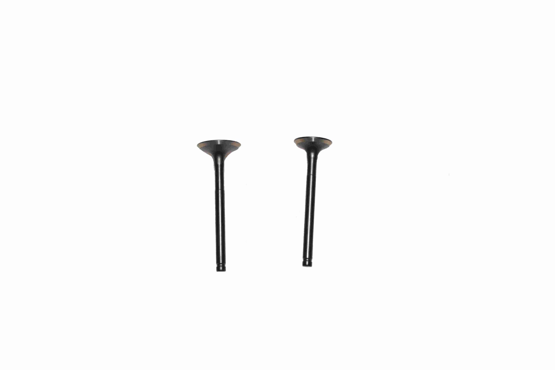 MOTOLUX AFRİKA KİNG 49CC SUBOP TAKIMI - EMME EGZOZ